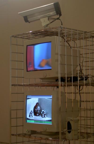 Image 12 of 12  -  28 kB